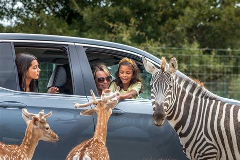 ZOOFARI .